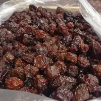 آلوچه مراغه