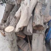 هیزم خشک