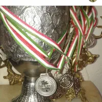 باطریسازی سیاربهروزتبریزی