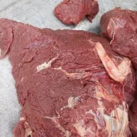 گوشتگوسالهعمدهکشتارگاهکشتارروز چرخ کرده دنبه|عمدهفروشی|کرج, محمد آباد|دیوار