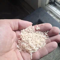 برنج|خوردنی و آشامیدنی|تهران, سید خندان (جلفا)|دیوار