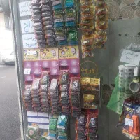 اسکاج حراج همه مدل