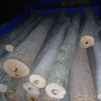 خرید انواع چوب ضایعات نوپان صنعتی