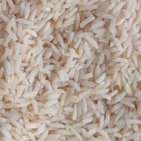 فروش برنج هاشمی سورتینگ زده