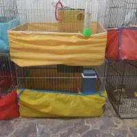 مرغ عشق با قفس