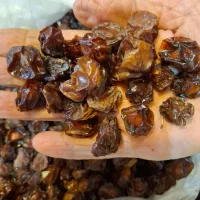 آلوچه|خوردنی و آشامیدنی|مشهد, ویلاشهر|دیوار