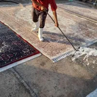 قالیشویی تاج شستشوی متفاوت کل شهر|خدمات نظافت|قم, باجک دو|دیوار
