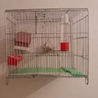 فروش قفس|لوازم جانبی حیوانات|اردستان, |دیوار