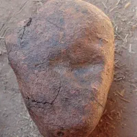 شهاب سنک