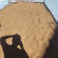 تفالع سیب و چغندر