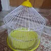 قفس و لانه پرنده