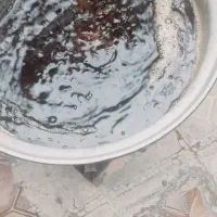 گزو و دوشاوی گزوی تایبت