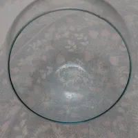 گلدان تراریوم