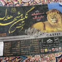 فرش 1000 شونه شناسنامه دار ۱۲متری|فرش|شیراز, پودنک|دیوار