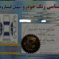 ۲۰۷ پانا مدل ۱۴۰۲|خودرو سواری و وانت|تنکابن, |دیوار