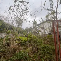 فروش یک قطعه زمین ۲۱۷ متری در رامسر