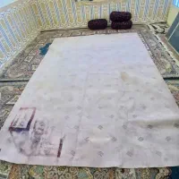 موکت