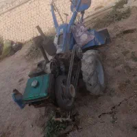 چهارشاخزن سالم قیمت مناسب