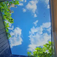 سقف کشسان جلوهای مدرن برای هر فضا . طراحی و نصب|خدمات پیشه و مهارت|همدان, |دیوار