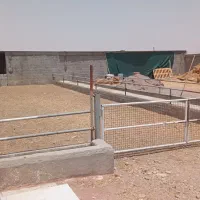 دامداری و3 هکتار زمین کشاورزی|فروش دفتر صنعتی، کشاورزی، تجاری|حبیب آباد, |دیوار