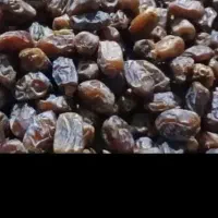 خریدارخرما
