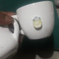 قندون وفنجون نمک پاش گوگولی