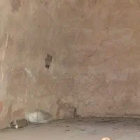 فر دیزی یا فر پیتزا|کافیشاپ و رستوران|تهران, قلمستان|دیوار