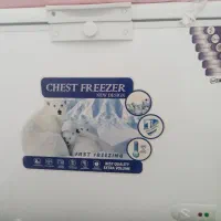 فریزصندوقی نونو