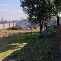 زمین ماسال ۶۰۰متر مسکونی با مجوز ساخت