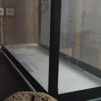 اکواریوم و سنگ مرجان طبیعی