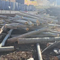 نیازمند نگهبان