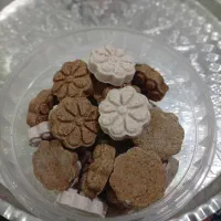 نبات فانتزی