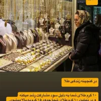 کارگزاری بیمه طلا و نقره مویرگ