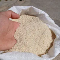 لاشه برنج هاشمی