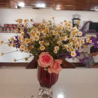اجاره خانه ویلایی ۱۰۰ متری ۲ خوابه