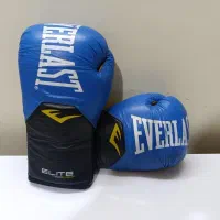 دستکش بوکس حرفه ای everlast (اورلست)