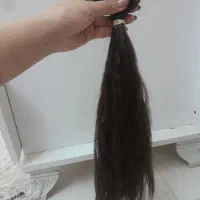 موی طبیعی،۵۰سانت،۱۵۰شاخه