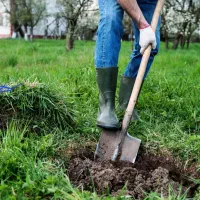 تیم متخصص امور باغبانی برای اولین بار در شهرستان|خدمات باغبانی و درختکاری|تربت‌حیدریه, پیشکوه|دیوار