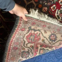 قالی فرش دسبافت|فرش|شیراز, سجادیه|دیوار