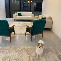 50متر-پارکینگ-دار-تکواحدی-قصرالدشت-طوس
