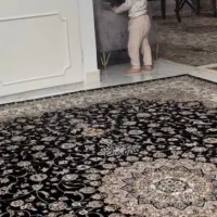 سه تخته فرش ۹ متری برند پاتریس