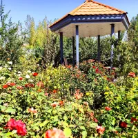 ( معنی فول رو با این ویلا درک میکنید ) ۵۰۰ متر|فروش خانه و ویلا|ماهدشت, |دیوار