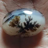 درجه یک وکمیاب