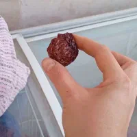 آلو خشک خانگی ارگانیک سالم تمیز و بهداشتی|خوردنی و آشامیدنی|کرج, شهرک یاس جنوبی|دیوار
