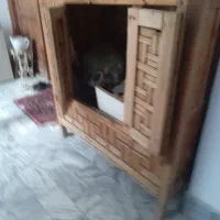 گره چینی ۲۰۰ ساله|صنایع دستی و سایر لوازم تزئینی|شیراز, دروازه اصفهان|دیوار