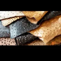 چرم طبیعی شترمرغ قیمت استثنایی|لوازم خیاطی و بافتنی|محمدشهر, شهرک پیام (مهرالبرز)|دیوار
