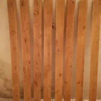 چوب پشت رگال