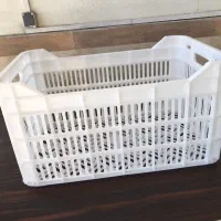 فروش سبد پرتقال ۲۰ کیلویی|عمده‌فروشی|گتاب, |دیوار