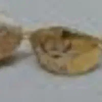 گوشواره گم شده