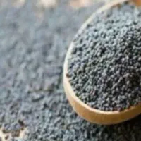 درمان گیاهی و بدون عوارض ریزش مو...